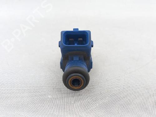Insprojtnings dyse CITROËN XSARA PICASSO (N68) 1.6 | BP27936195M100 