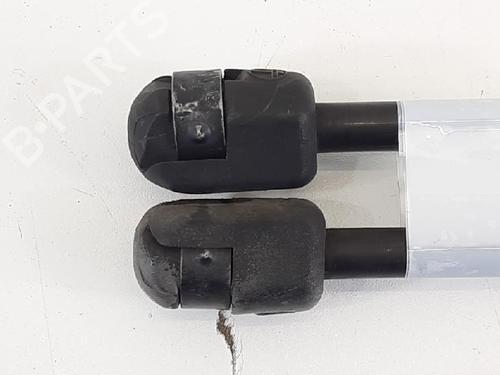 Tailgate lift support FORD FIESTA VI (CB1, CCN) 1.25 | BP27944770C138 