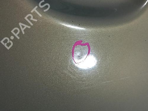 Left rear door RENAULT MEGANE Scenic (JA0/1_) 1.6 16V (JA0B, JA04, JA11, JA00) | BP27961714C4 