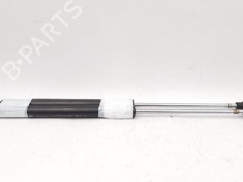 Tailgate lift support RENAULT CLIO III (BR0/1, CR0/1) 1.2 16V (BR02, BR0J, BR11, CR02, CR0J, CR11) | BP27947381C138 