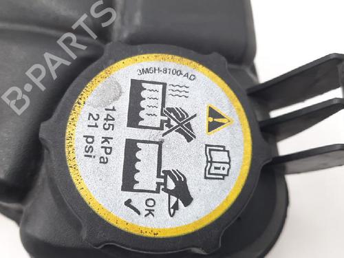 Expansion tank FORD S-MAX (WA6) 2.0 TDCi | BP27949852C120