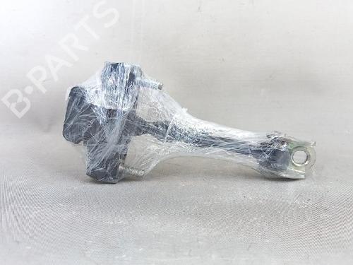 Hinge/Door check strap FIAT FIORINO Box Body/MPV (225_) 1.4 Natural Power (225BXC1A, 225AXC1A) | BP27953471C146