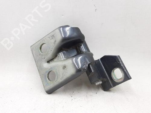 Hinge/Door check strap LANCIA MUSA (350_) 1.3 D Multijet (350.AXM11, 350.AXM1A, 350.AXI1A) | BP27956792C146 