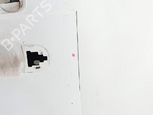 Left front door FORD TRANSIT CONNECT (P65_, P70_, P80_) 1.8 TDCi | BP27959355C2 