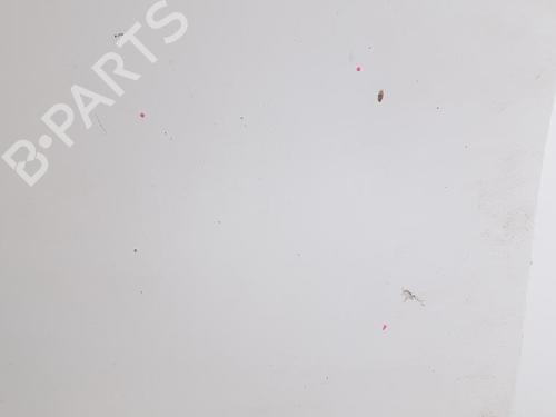 Left front door FIAT FIORINO Box Body/MPV (225_) 1.3 D Multijet (225BXD1A, 225BXB1A, 225BXB11) | BP27966356C2
