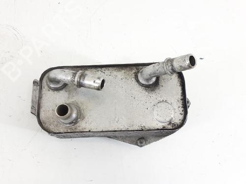 Egr BMW 3 Touring (E91) 320 d | BP27944934M69 