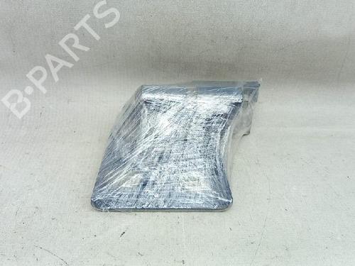 Hinge/Door check strap LANCIA MUSA (350_) 1.3 D Multijet (350.AXG11, 350.AXG1A) | BP27954672C146 