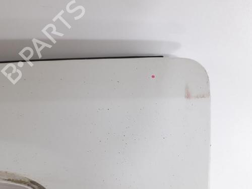 Left front door FIAT FIORINO Box Body/MPV (225_) 1.3 D Multijet (225BXD1A, 225BXB1A, 225BXB11) | BP27966356C2