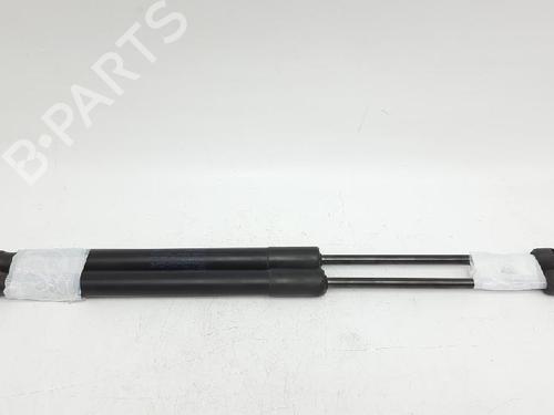 Gassdemper Bakluke SKODA ROOMSTER (5J7) 1.4 TDI | BP27944062C138