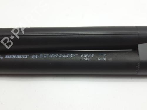 Tailgate lift support RENAULT CLIO III (BR0/1, CR0/1) 1.5 dCi (C/BR0G, C/BR1G) | BP27966789C138 