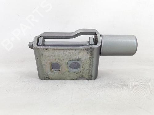 Hinge/Door check strap RENAULT CLIO III Grandtour (KR0/1_) 1.5 dCi | BP27951606C146 