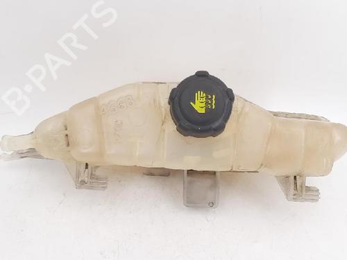 Expansion tank RENAULT CLIO III (BR0/1, CR0/1) 1.2 16V (BR02, BR0J, BR11, CR02, CR0J, CR11) | BP27947218C120 