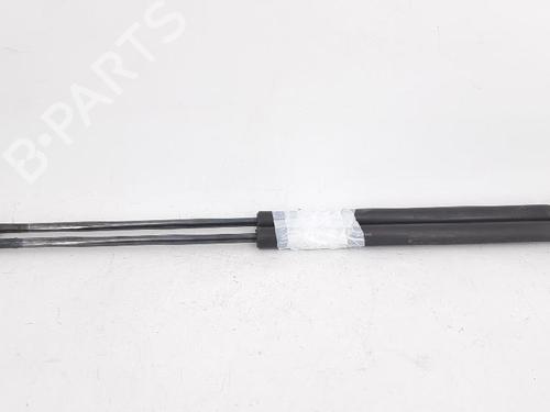 Tailgate lift support SEAT AROSA (6H1) 1.0 | BP27947369C138 