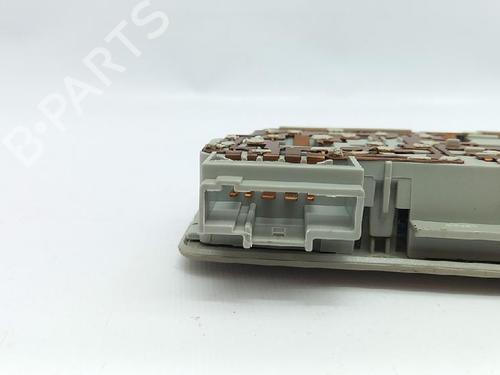 Interior roof light RENAULT LAGUNA II Grandtour (KG0/1_) 2.2 dCi (KG0F) | BP27968320I8 