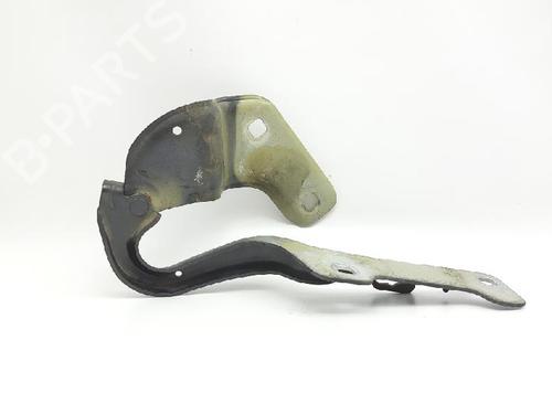 Hinge/Door check strap RENAULT CLIO III (BR0/1, CR0/1) 1.5 dCi (C/BR0G, C/BR1G) | BP27966798C146 