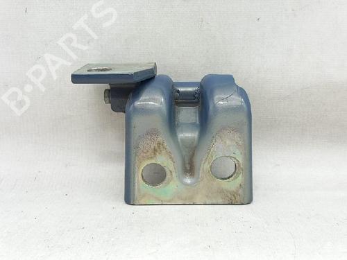 Hinge/Door check strap LANCIA MUSA (350_) 1.3 D Multijet (350.AXG11, 350.AXG1A) | BP27954672C146 