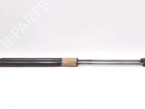 Tailgate lift support FORD FIESTA VI (CB1, CCN) 1.0 | BP27948983C138 