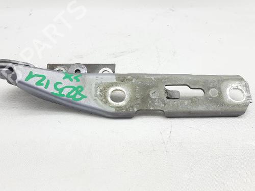 Hinge/Door check strap AUDI A4 B7 (8EC) 1.6 | BP27945670C146 