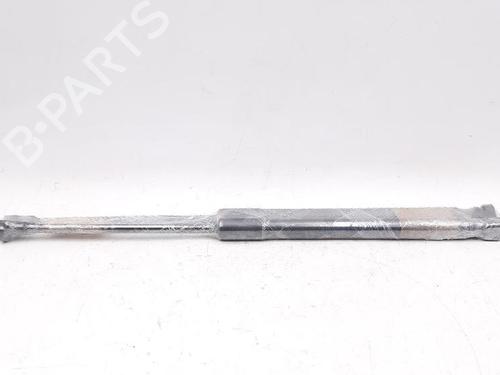 Tailgate lift support BMW 1 (E87) 118 d | BP27948862C138 