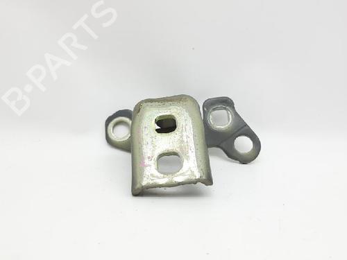 Hinge/Door check strap RENAULT CLIO III (BR0/1, CR0/1) 1.5 dCi (C/BR0G, C/BR1G) | BP27966795C146 