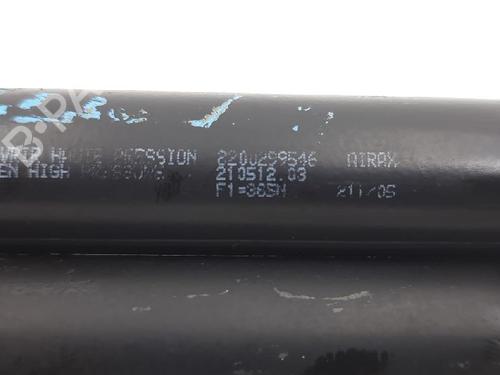Tailgate lift support RENAULT CLIO III (BR0/1, CR0/1) 1.2 16V (BR02, BR0J, BR11, CR02, CR0J, CR11) | BP27947375C138 
