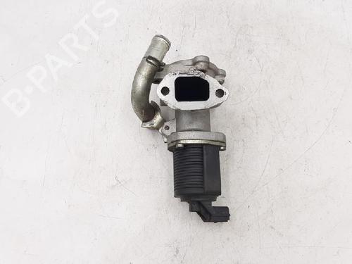 Egr FIAT PANDA (169_) 1.3 D Multijet (169.AXC1A) | BP27944614M69 