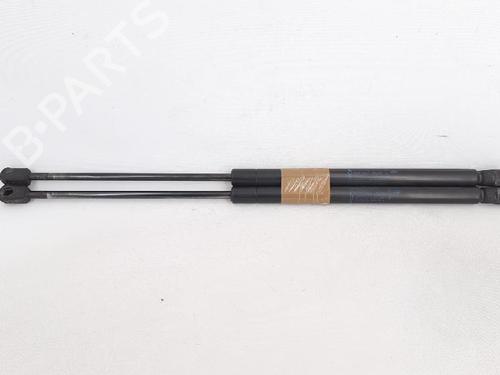 Tailgate lift support MINI MINI (R50, R53) Cooper | BP27950170C138 
