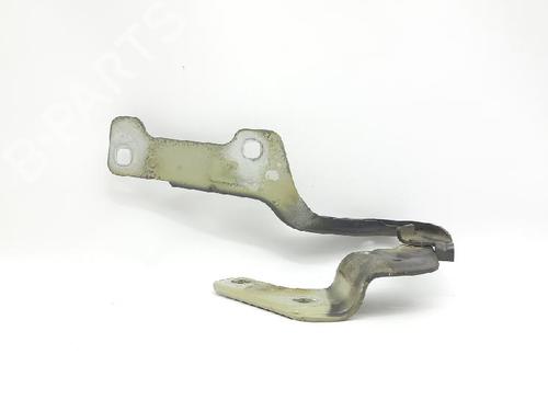 Hinge/Door check strap RENAULT CLIO III (BR0/1, CR0/1) 1.5 dCi (C/BR0G, C/BR1G) | BP27966798C146 