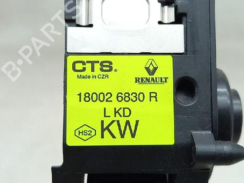 Pedal RENAULT MEGANE IV Hatchback (B9A/M/N_) 1.5 dCi 110 (B9A3) | BP27958426I4 