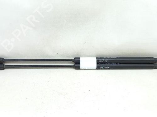 Tailgate lift support FIAT BRAVO II (198_) 1.6 D Multijet (198AXH1B) | BP27955834C138 
