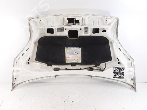 Hood FIAT FIORINO Box Body/MPV (225_) 1.4 Natural Power (225BXC1A, 225AXC1A) | BP27953302C1
