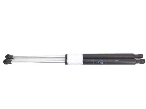 Used Tailgate lift support RENAULT CLIO III (BR0/1, CR0/1) 1.2 16V (BR02, BR0J, BR11, CR02, CR0J, CR11) (75 hp) 27947375