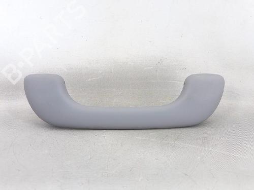 Interior roof handle NISSAN PRIMERA Hatchback (P12) 1.9 dCi | BP27953059I35 