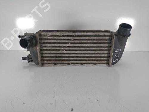 Used Intercooler FIAT 500 (312_) 1.3 D Multijet (312AXB1A) (75 hp) 16161485