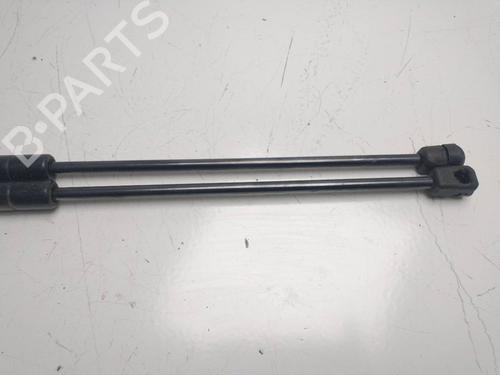 Tailgate lift support MERCEDES-BENZ B-CLASS Sports Tourer (W245) B 160 (245.231) | BP14157682C138 