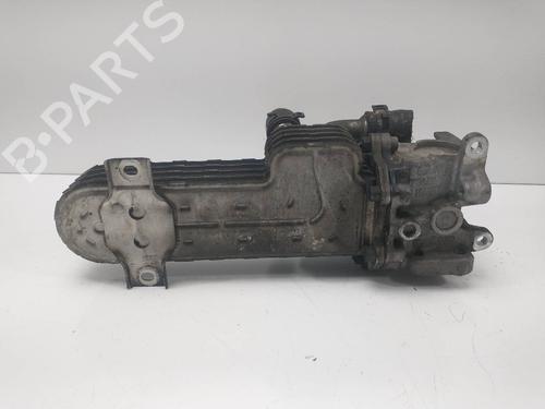 Egr VW PASSAT B6 (3C2)  | BP14157293M69 