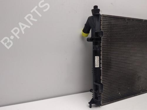 Water radiator DACIA SANDERO | BP36432441M31 - Image 5