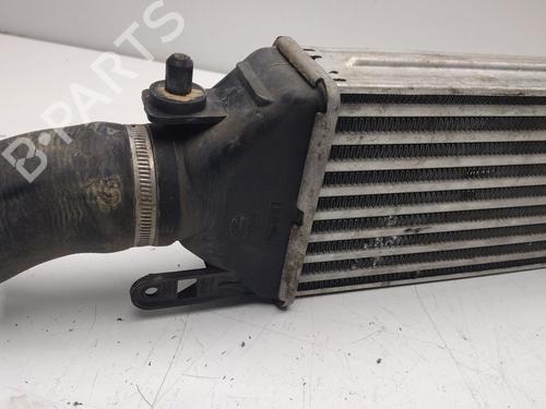 Intercooler FIAT DOBLO Cargo (263_) | BP33328073M30 - Image 5