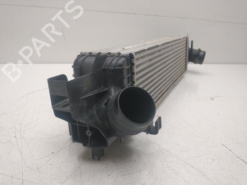 Intercooler BMW X2 (U10) sDrive 18 d | BP39102500M30 - Image 6
