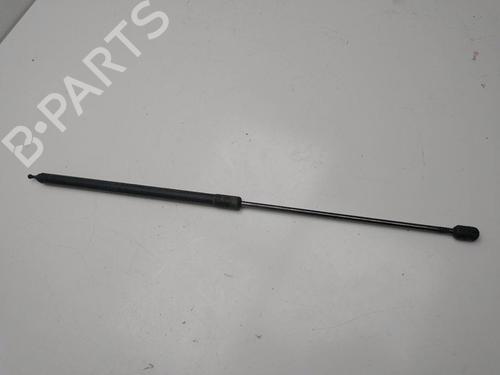 Hood lift support RENAULT MEGANE III Hatchback (BZ0/1_, B3_)  | BP21385847C139 