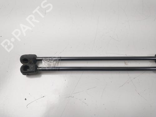 Tailgate lift support FORD FIESTA VI (CB1, CCN) 1.4 | BP14157329C138 
