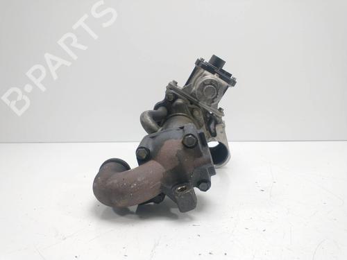 Egr RENAULT TWINGO II (CN0_)  | BP9577146M69 