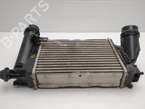 Intercooler NISSAN QASHQAI II (J11, J11_) | BP32470430M30