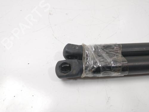 Tailgate lift support VW POLO (9N_, 9A_) 1.4 TDI | BP14157344C138 