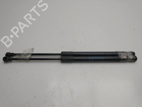 Tailgate lift support BMW 1 (E87) 118 d | BP21361028C138 
