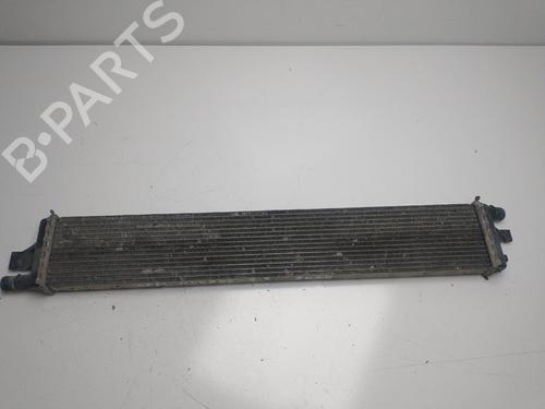 Wasserkühler für RENAULT MASTER III Platform/Chassis (EV, HV, UV) 2.3 dCi 165 FWD (EV0P, EV0U, EV11, EV12, HV0P, HV0U,... (163 hp) 16082087