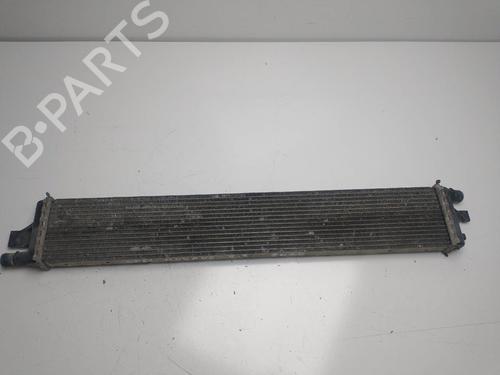 Radiateur à eau RENAULT MASTER III Platform/Chassis (EV, HV, UV) 2.3 dCi 165 FWD (EV0P, EV0U, EV11, EV12, HV0P, HV0U,... (163 hp) 16082087