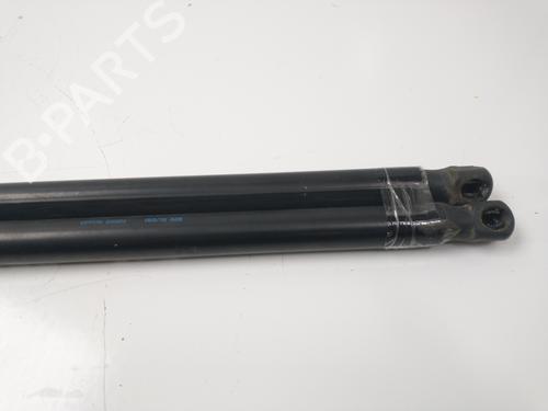 Tailgate lift support FORD FIESTA VI (CB1, CCN) 1.4 | BP14157329C138 