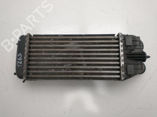Intercooler CITROËN C3 Picasso (SH_) 1.6 HDI 90 | BP32439112M30  - Image 7