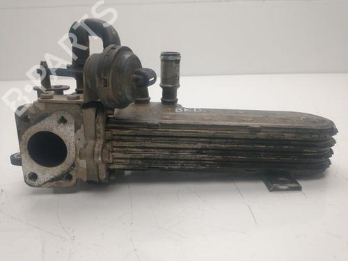 Egr VW GOLF V (1K1) | BP32266564M69